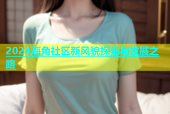 2024海角社區(qū)新風貌探索與發(fā)展之路
